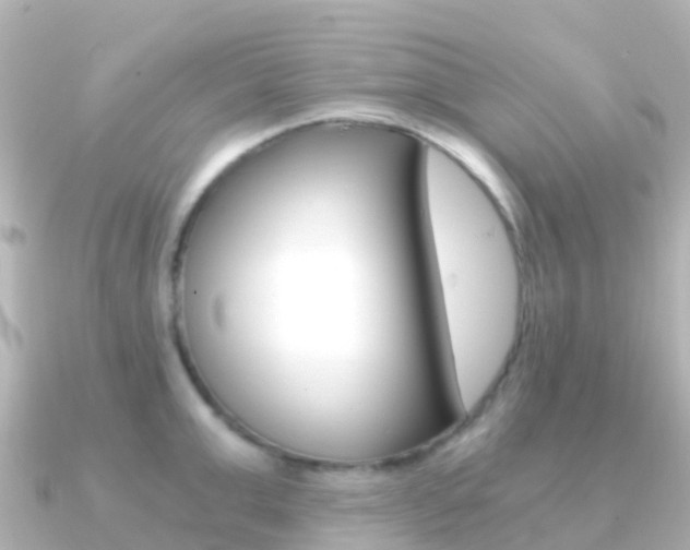 X0000091360999200708101051