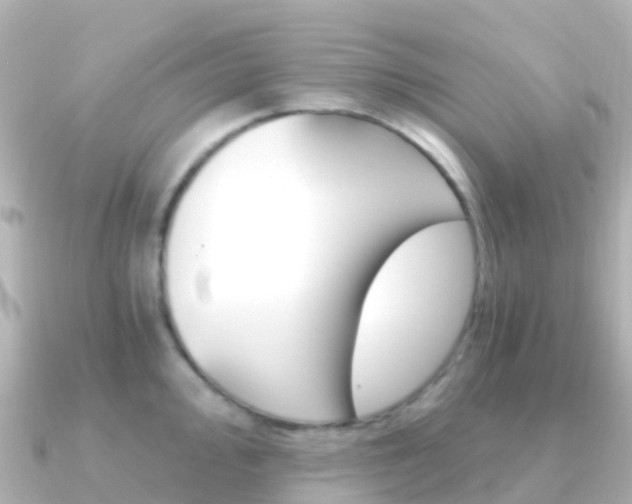X0000091361000200708101051
