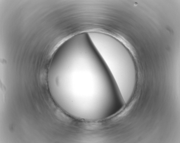X0000091361001200708101051