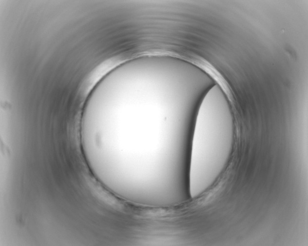 X0000091361002200708101051