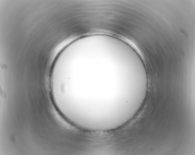 X0000091361003200708101051