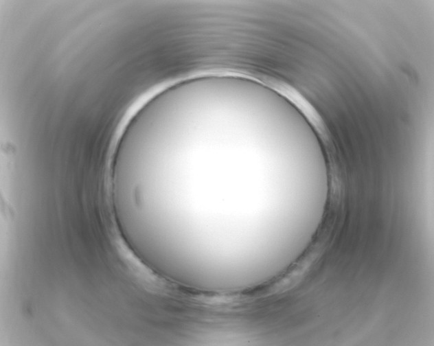 X0000091361004200708101051