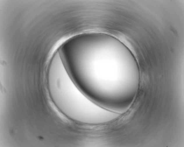X0000091361005200708101051