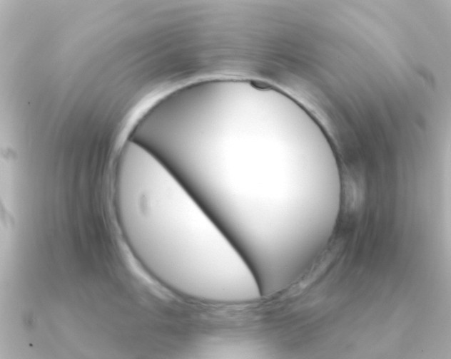 X0000091361006200708101051