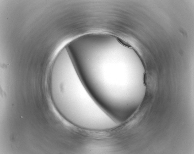 X0000091361007200708101051