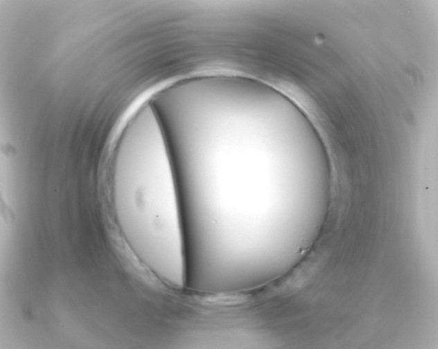 X0000091361008200708101051