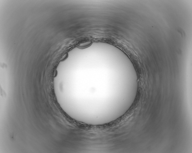 X0000091361009200708101051