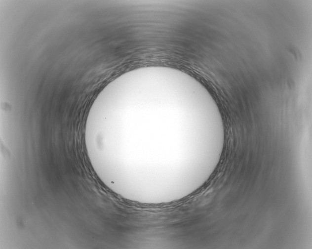 X0000091361010200708101051