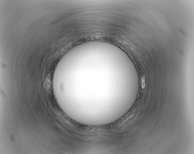 X0000091361011200708101051