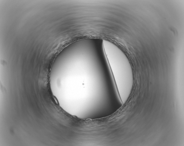 X0000091361012200708101051