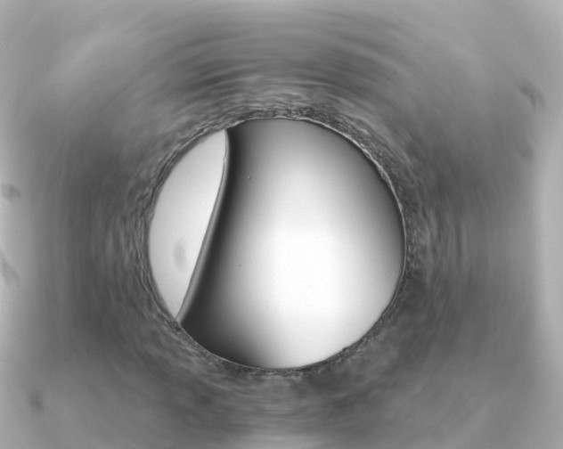 X0000091361013200708101051