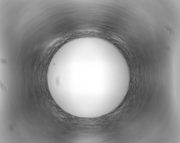 X0000091361014200708101051