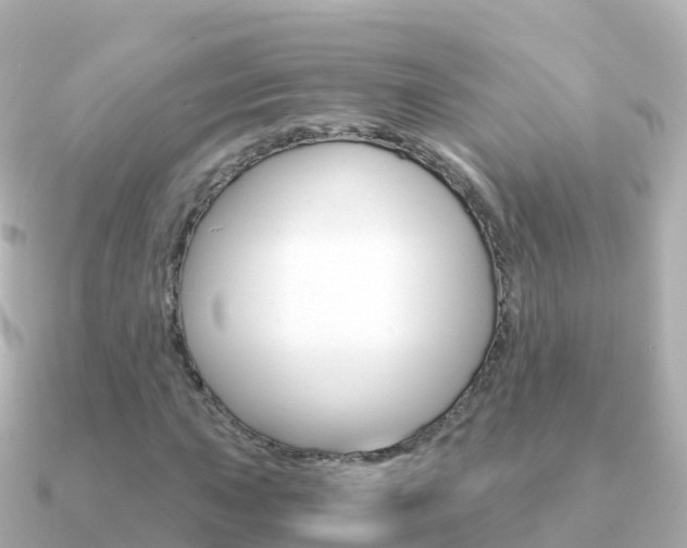 X0000091361015200708101051