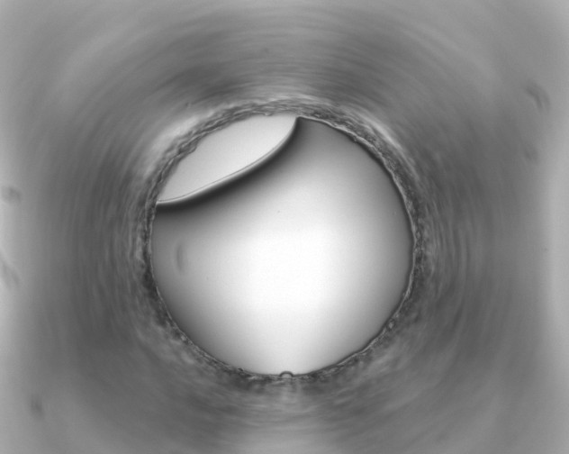 X0000091361016200708101051