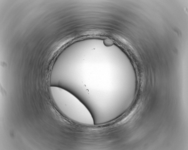 X0000091361017200708101051