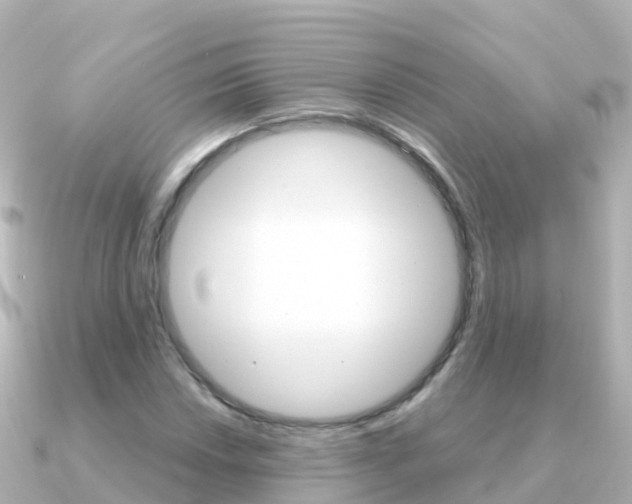 X0000091361018200708101051