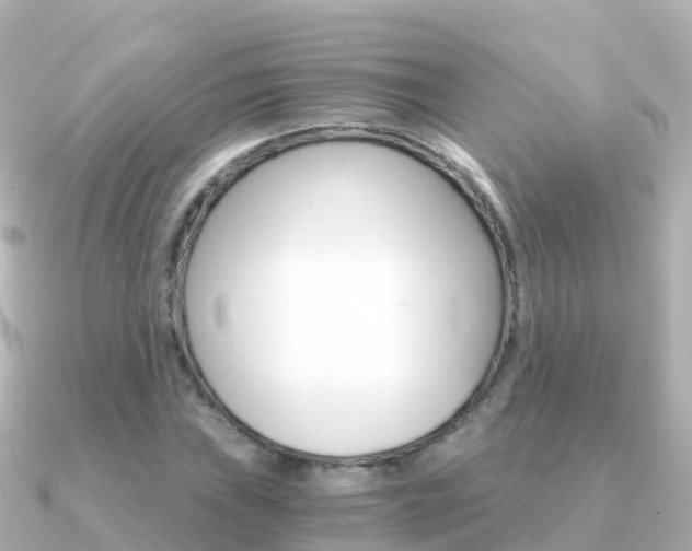 X0000091361019200708101051