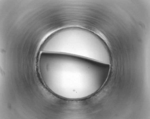 X0000091361020200708101051