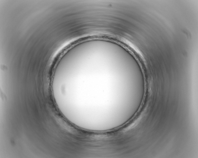 X0000091361021200708101051