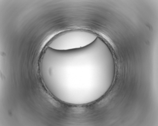 X0000091361023200708101051
