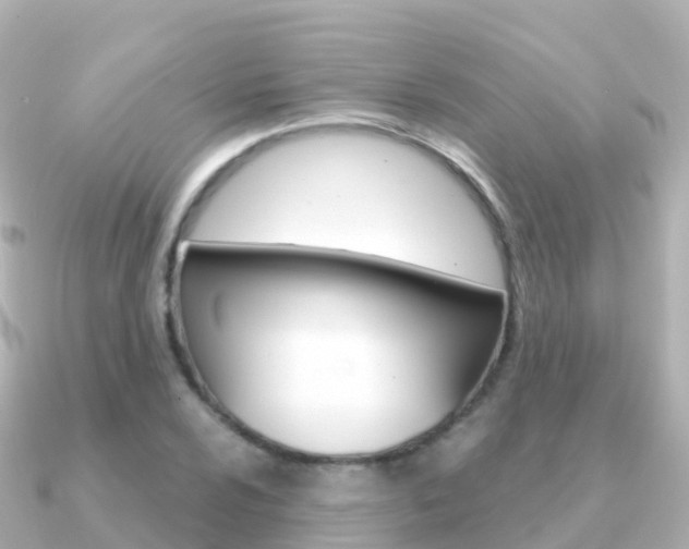 X0000091361024200708101051