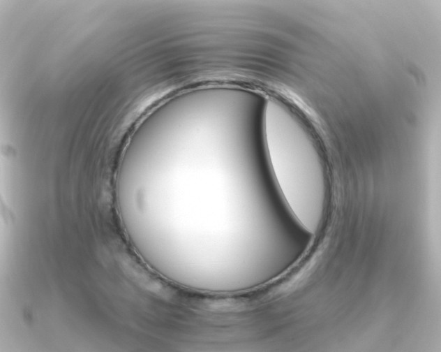 X0000091361025200708101051
