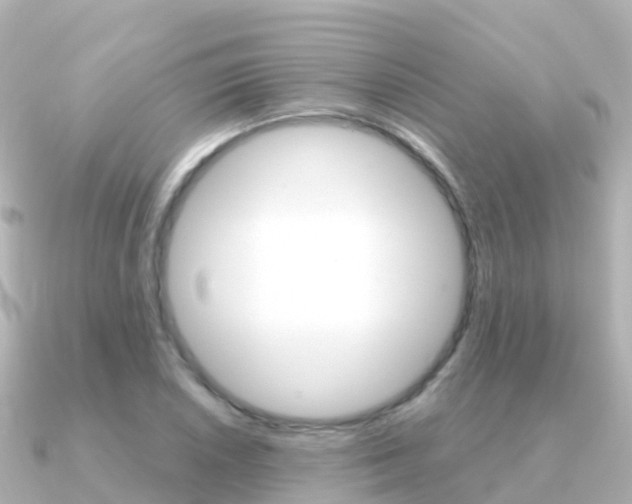 X0000091361026200708101051
