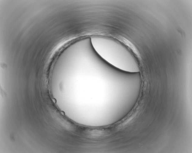 X0000091361027200708101051