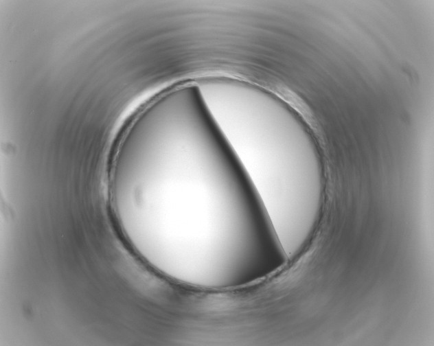 X0000091361028200708101051