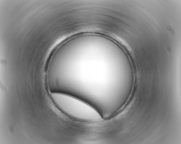X0000091361029200708101051