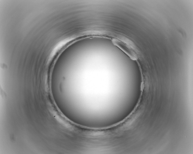 X0000091361030200708101051