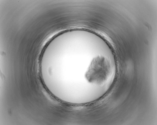 X0000091361031200708101051