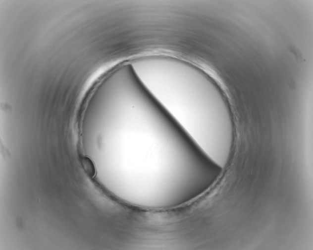 X0000091361032200708101051