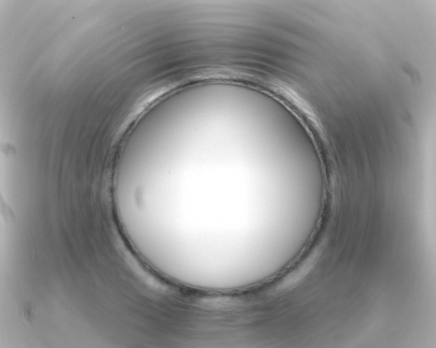 X0000091361033200708101051