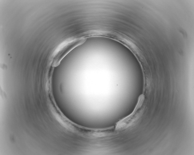 X0000091361034200708101051