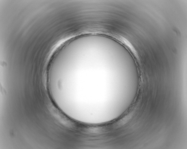 X0000091361035200708101051