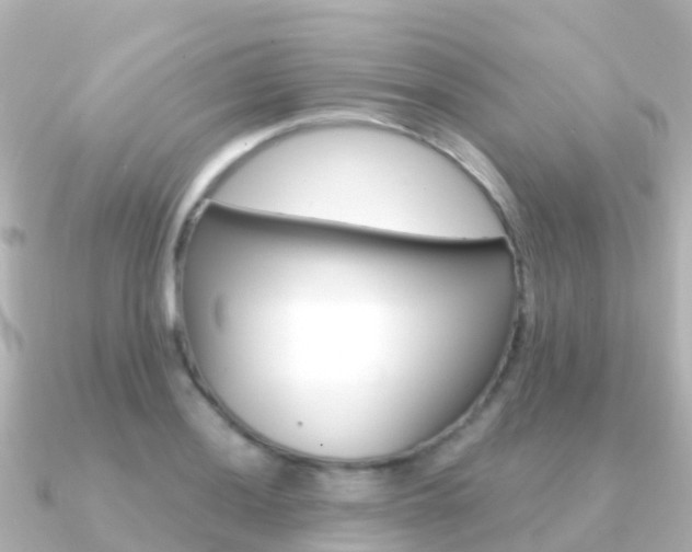 X0000091361036200708101051