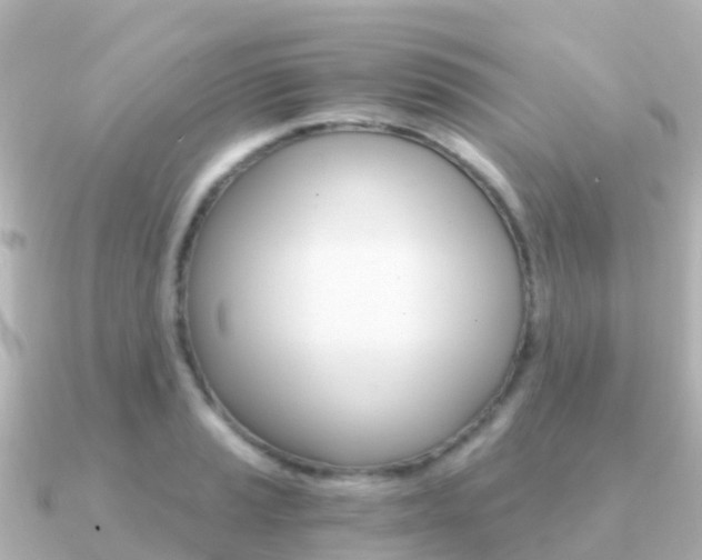 X0000091361037200708101051