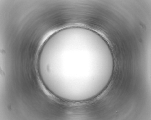 X0000091361038200708101051