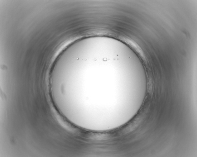 X0000091361039200708101051