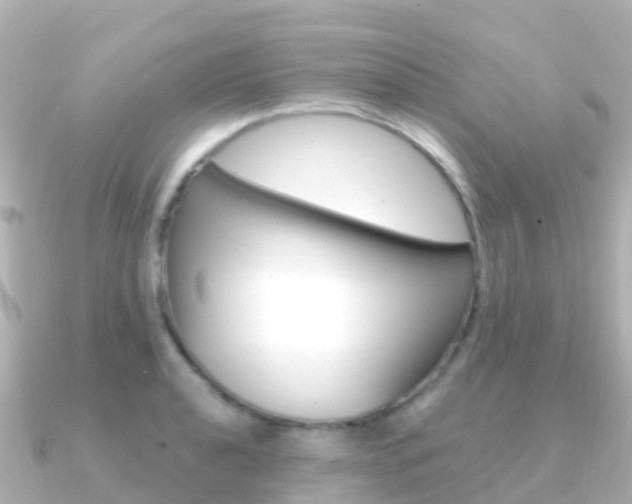 X0000091361040200708101051