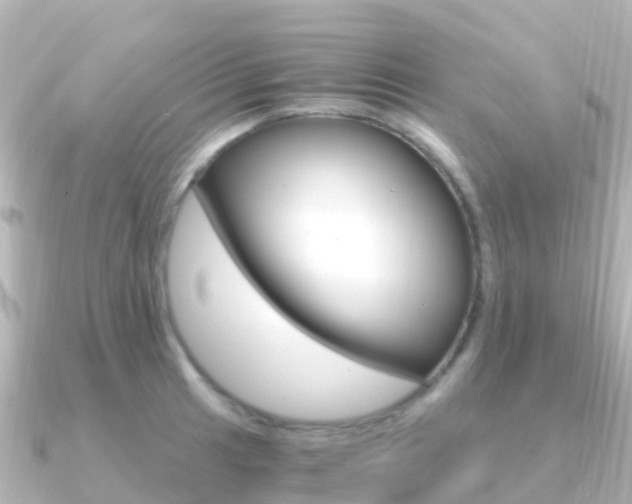 X0000091361041200708101051