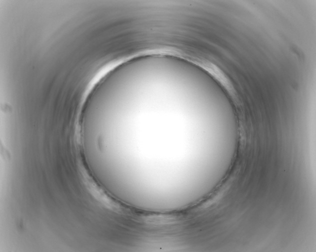 X0000091361044200708101051