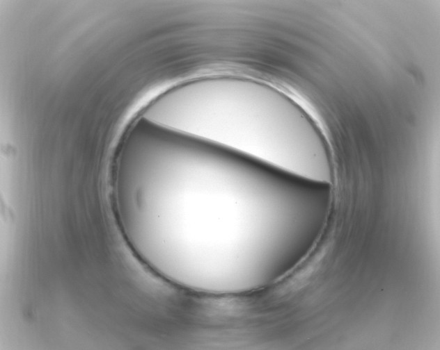 X0000091361045200708101051