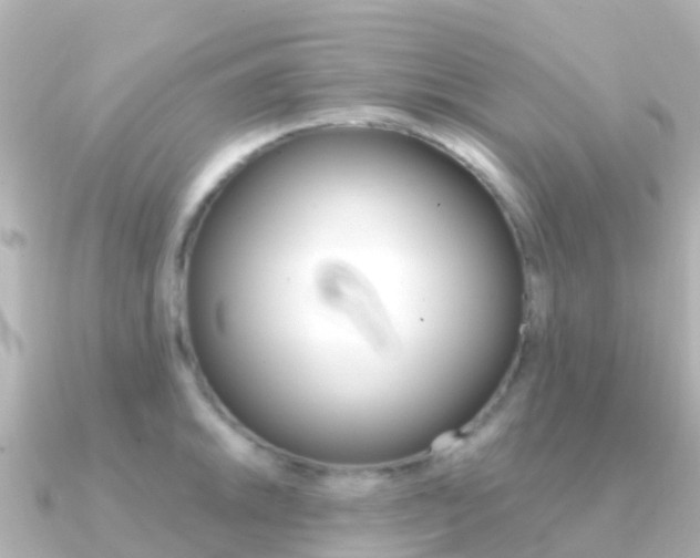 X0000091361046200708101051