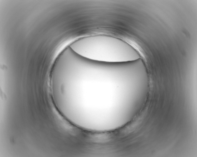 X0000091361047200708101051