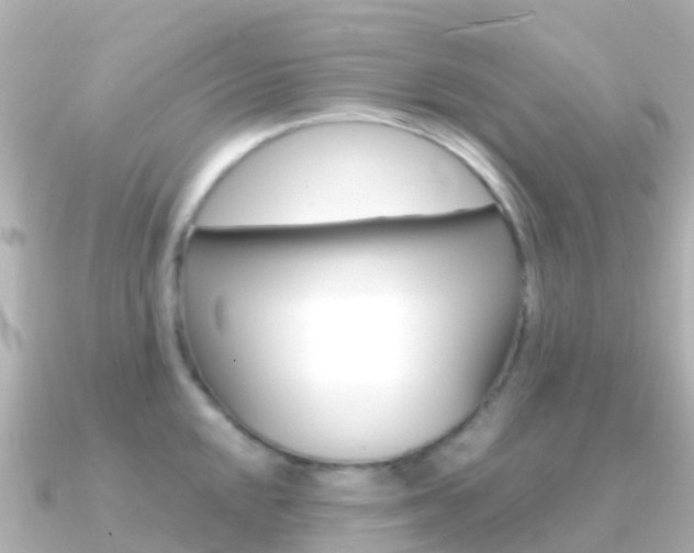 X0000091361048200708101051