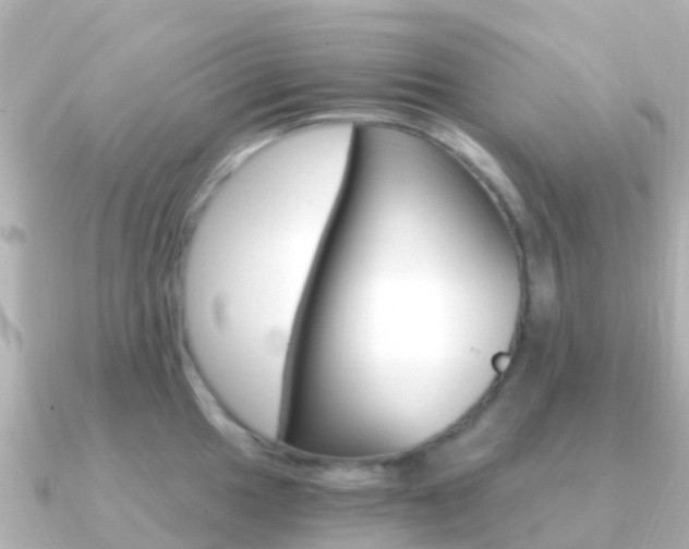 X0000091361049200708101051