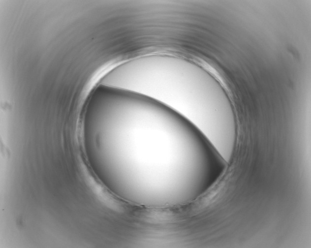 X0000091361050200708101051