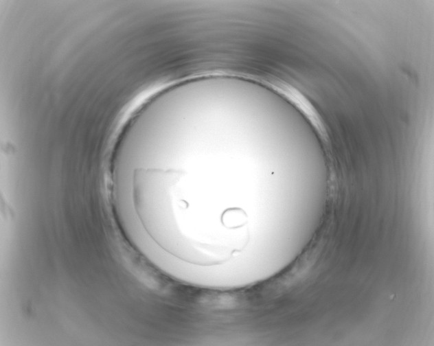 X0000091361051200708101051